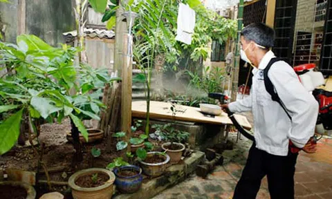 Mưa lũ nhiều, lo ngại dịch sốt xuất huyết bùng phát